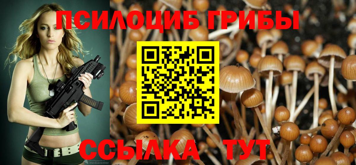 Строитель  Галлюциногенные грибы MAGIC MUSHROOMS  Псилоцибиновые грибы GOLDEN TEACHER  Вход с VPN 